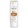 Pantene Pro-V Ultimate 10 Repair & Protect Shampoo