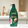 Palmolive Luminous Oils Hair Shampoo Moroccan Argan Oil & Camellia Strengthen & Protect