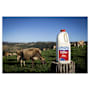 Norco Reduced Fat Milk