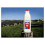 Norco Lite Milk