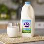 A2 Light Milk