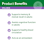 Cenovis Ginkgo Biloba 2000mg Tablets Value Pack