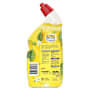 Harpic Toilet Cleaner Summer Breeze Citrus