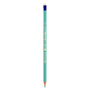 BIC Pencil Evolution With Eraser