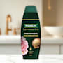 Palmolive Luminous Oils Conditioner Moroccan Argan Oil & Camellia