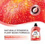 Earth Choice Dishwashing Liquid Red Apple