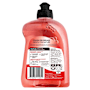 Earth Choice Dishwashing Liquid Red Apple