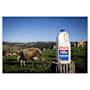 Norco Fresh Full Cream Milk