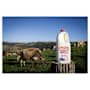 Norco Fresh Skim Milk