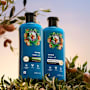 Herbal Essences Repair Argan Oil Shampoo