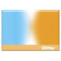 Kleenex Allergy Comfort