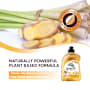 Earth Choice Ultra Concentrate Dishwashing Liquid Lemongrass & Ginger