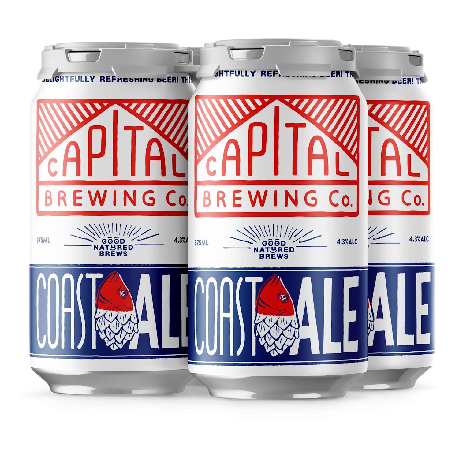 Capital Coast Ale Can 375mL 4 Pack