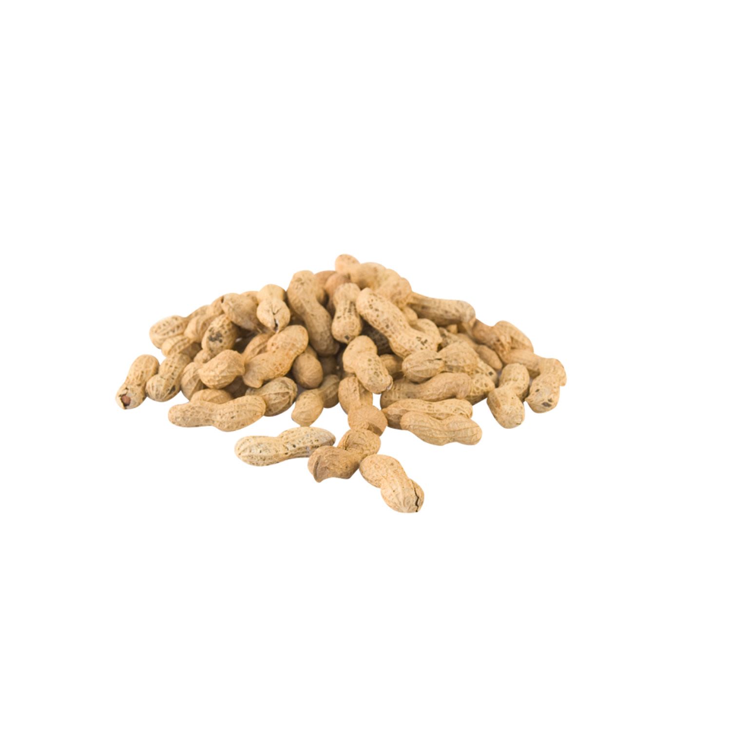 Yummy Peanuts in Shell