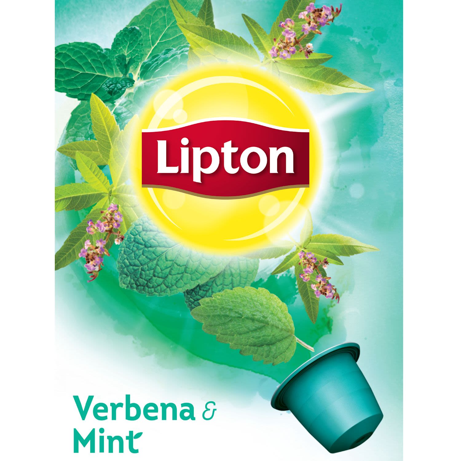 Lipton 10 pack