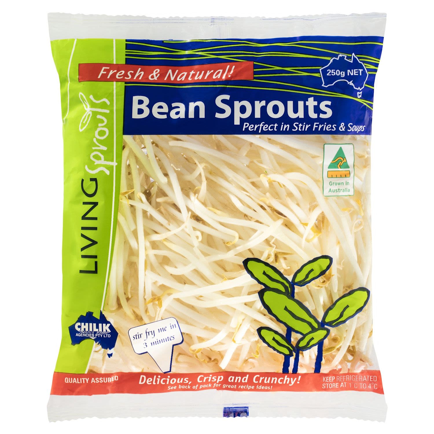 Living Sprouts 250g