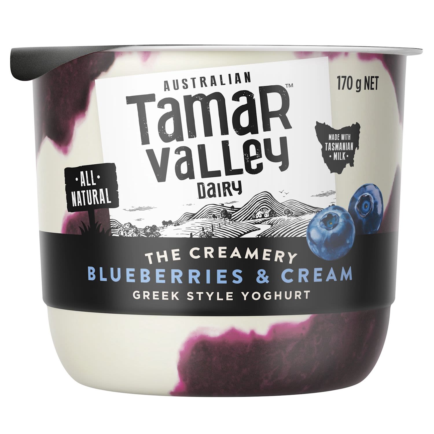 Tamar Valley Dairy Blueberries & Cream Yoghurt
