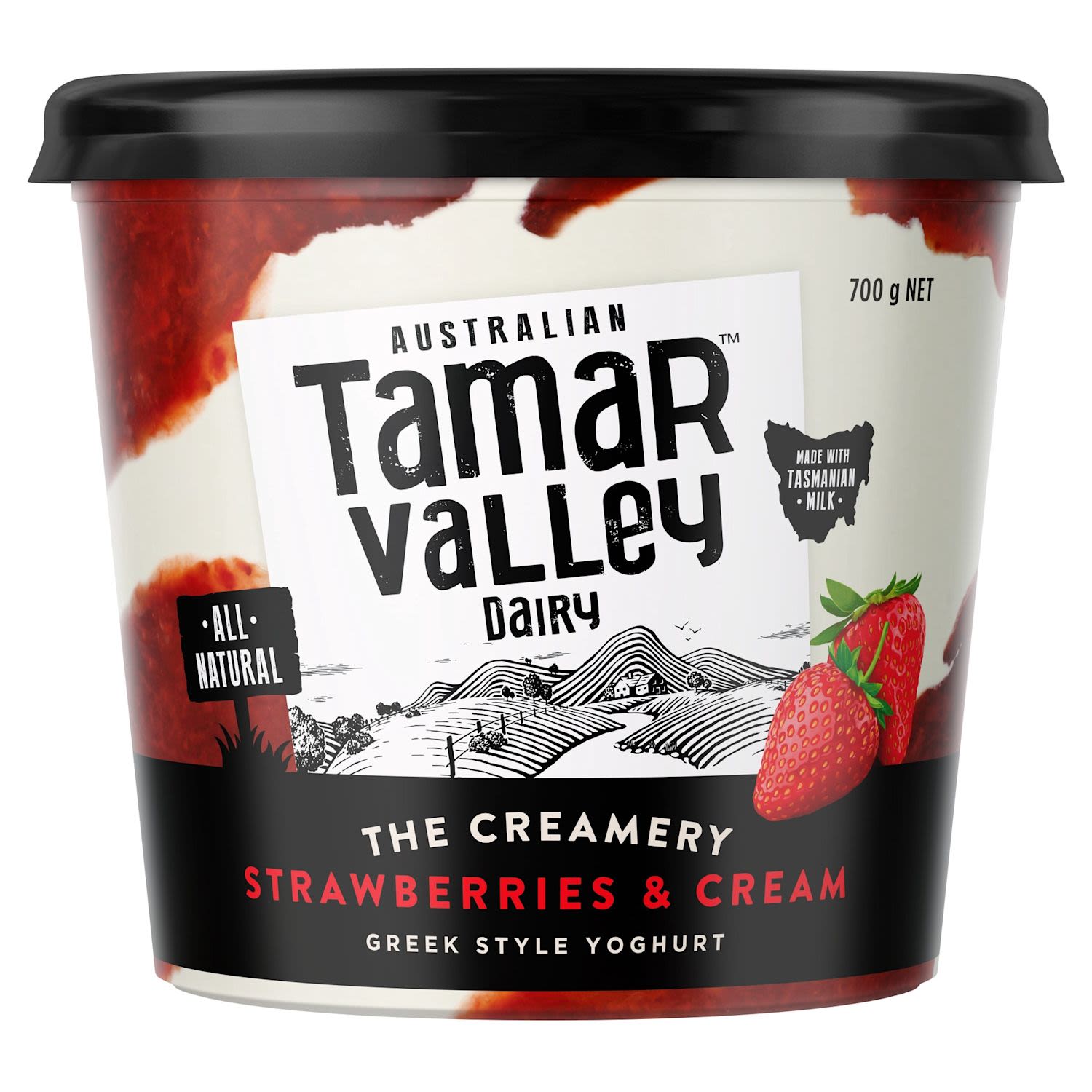 Tamar Valley Dairy 700g