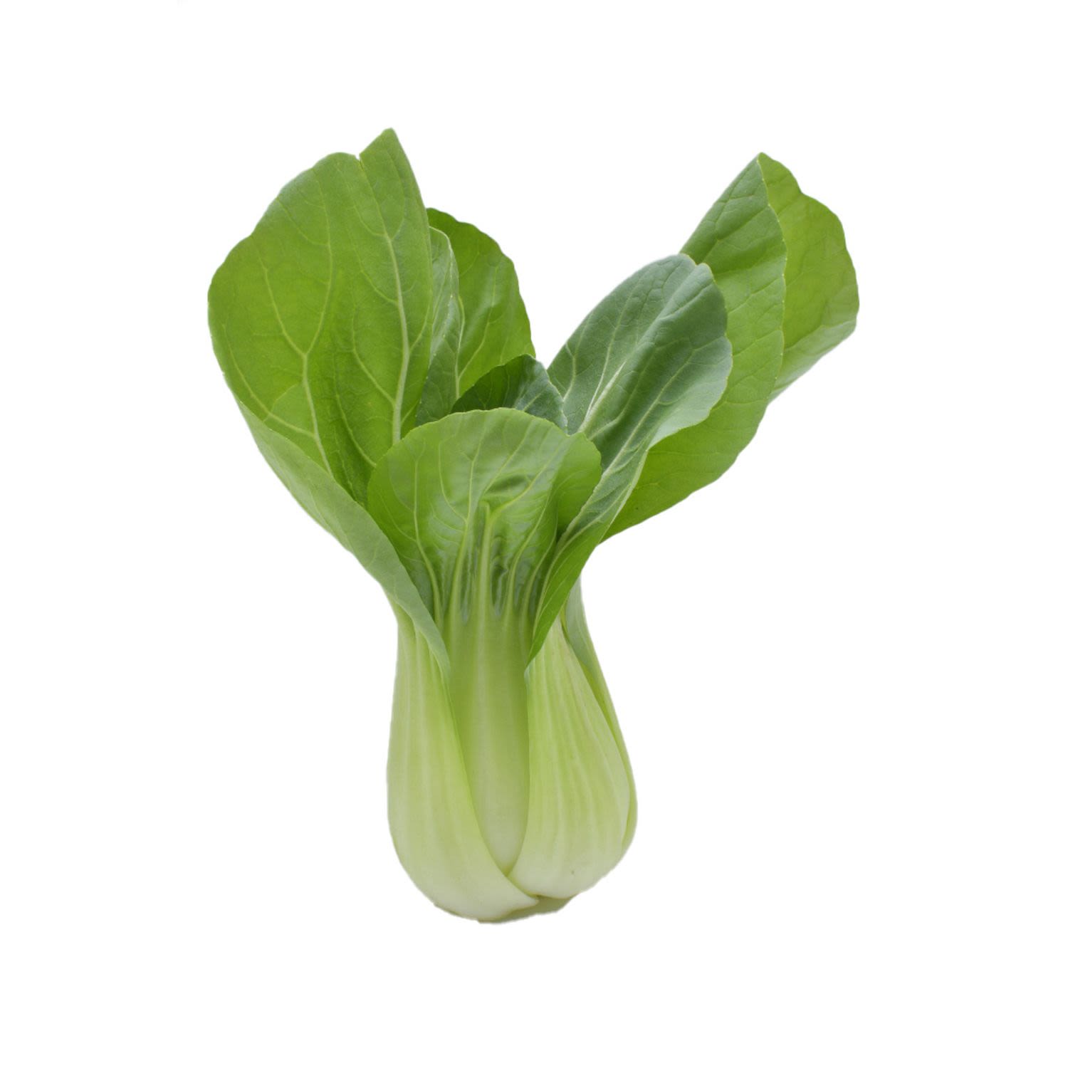 Bok Choy, 1 Each