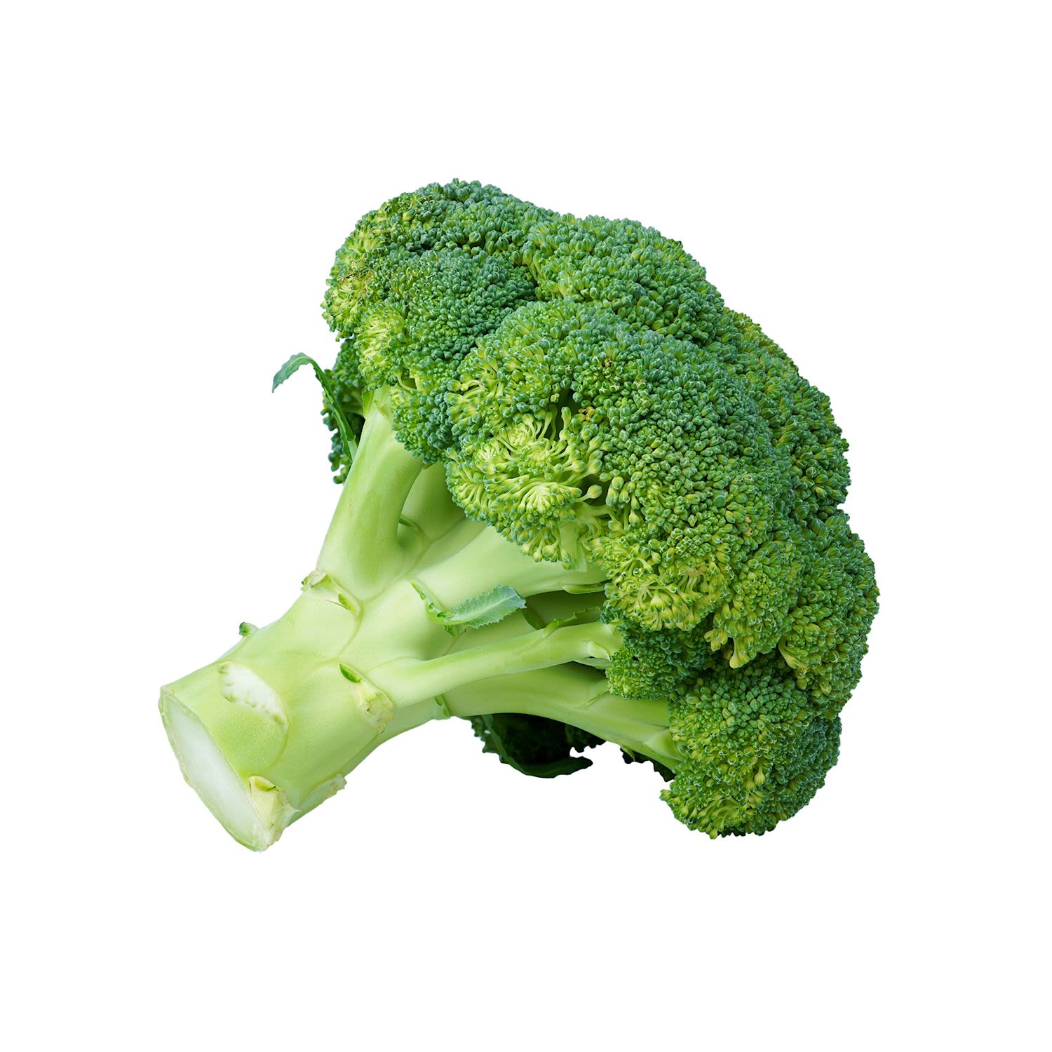 United Organics 500g