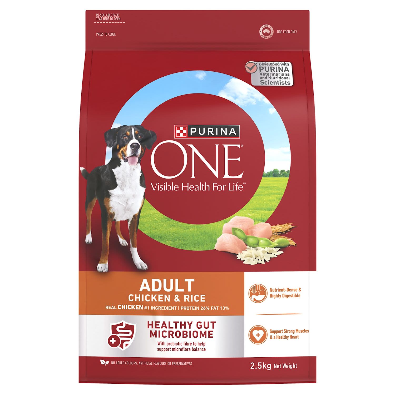 Purina One Adult Dry Chicken & Rice 