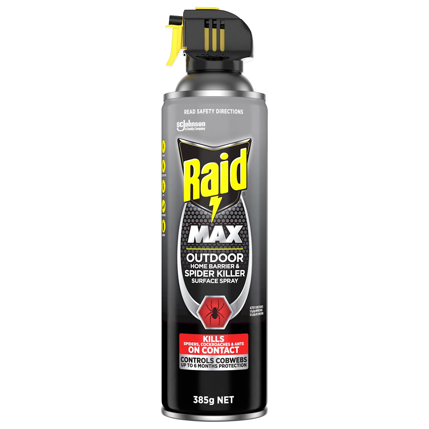 Raid Max Outdoor Home Barrier & Spider Killer Surface Spray 