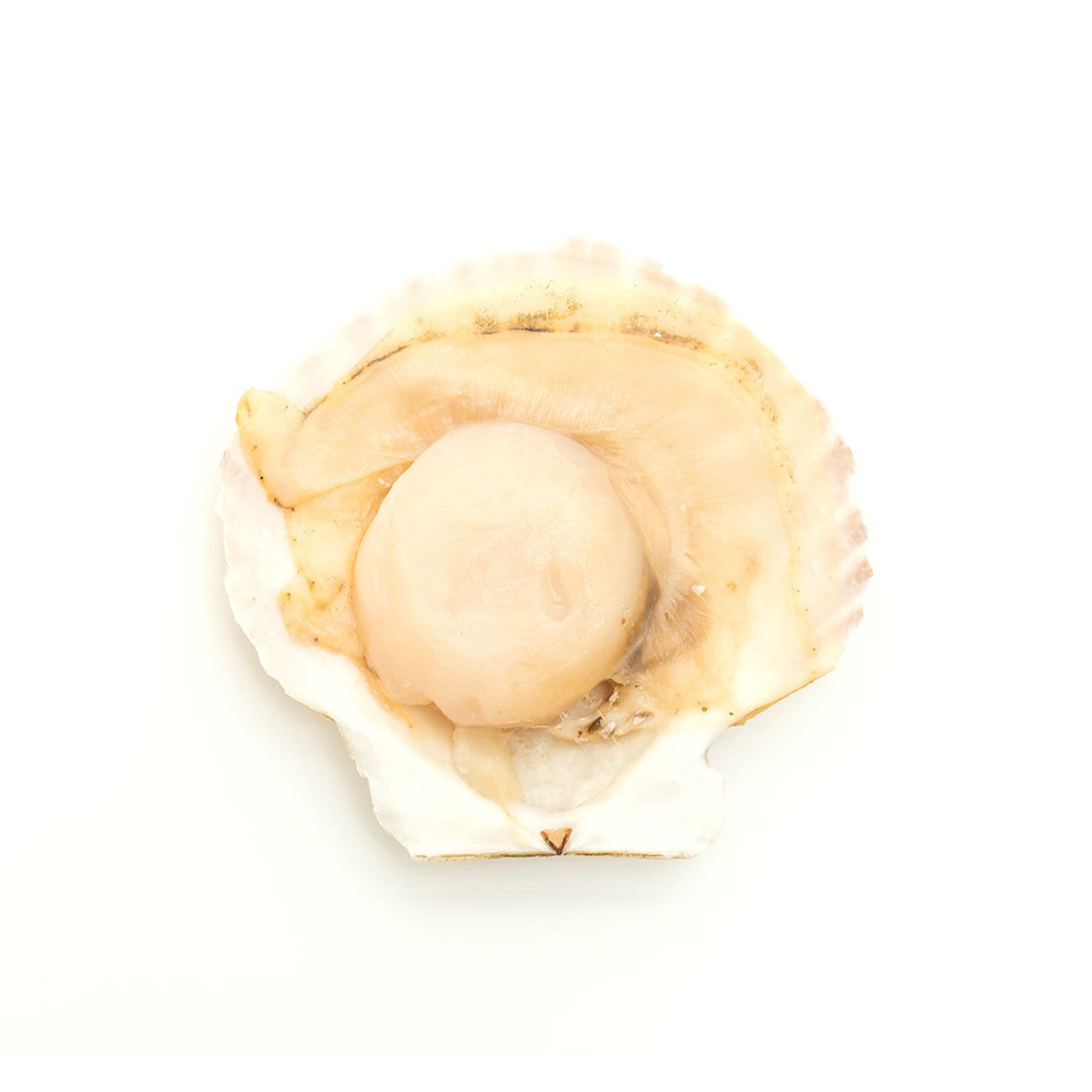 Country Delight 500g
