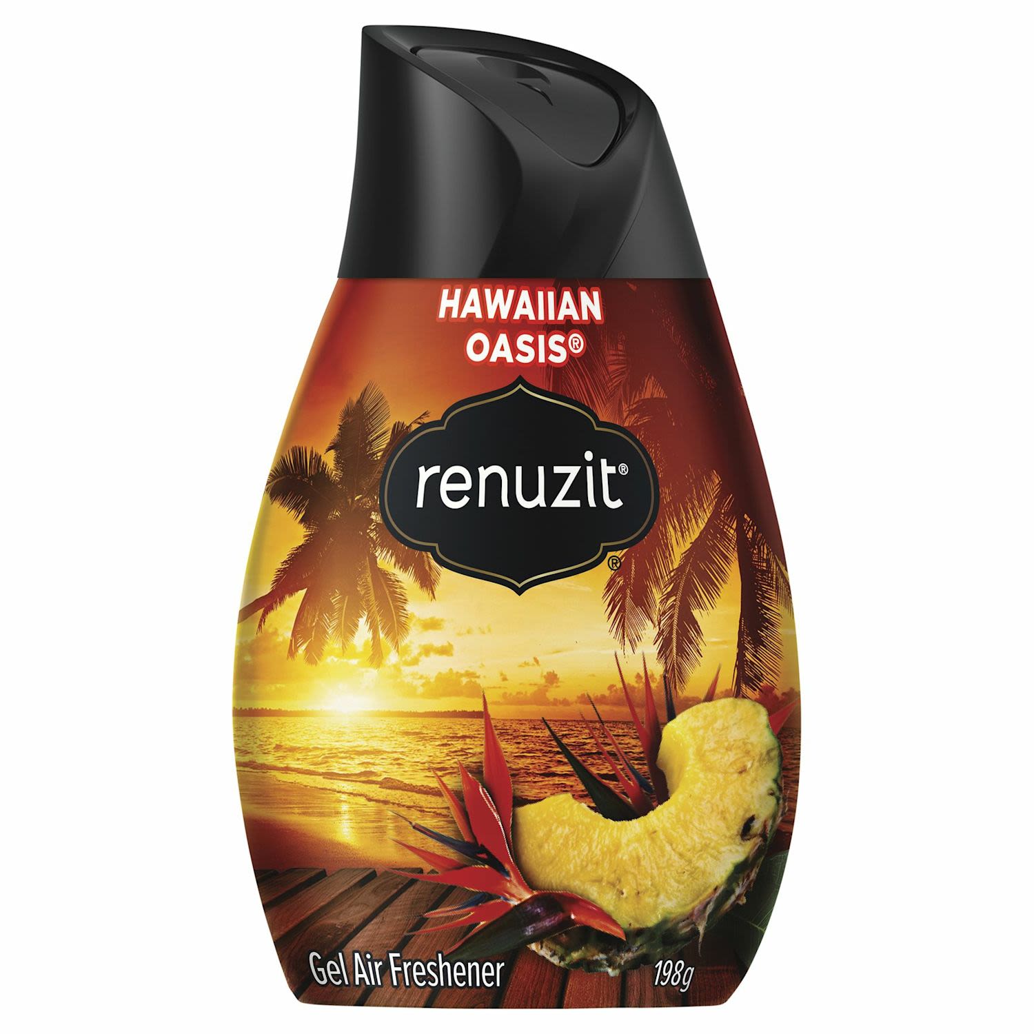 Renuzit 198g