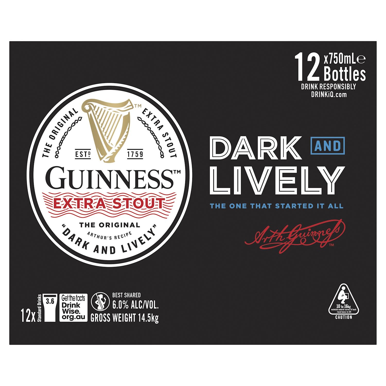 Guinness Extra Stout Bottle