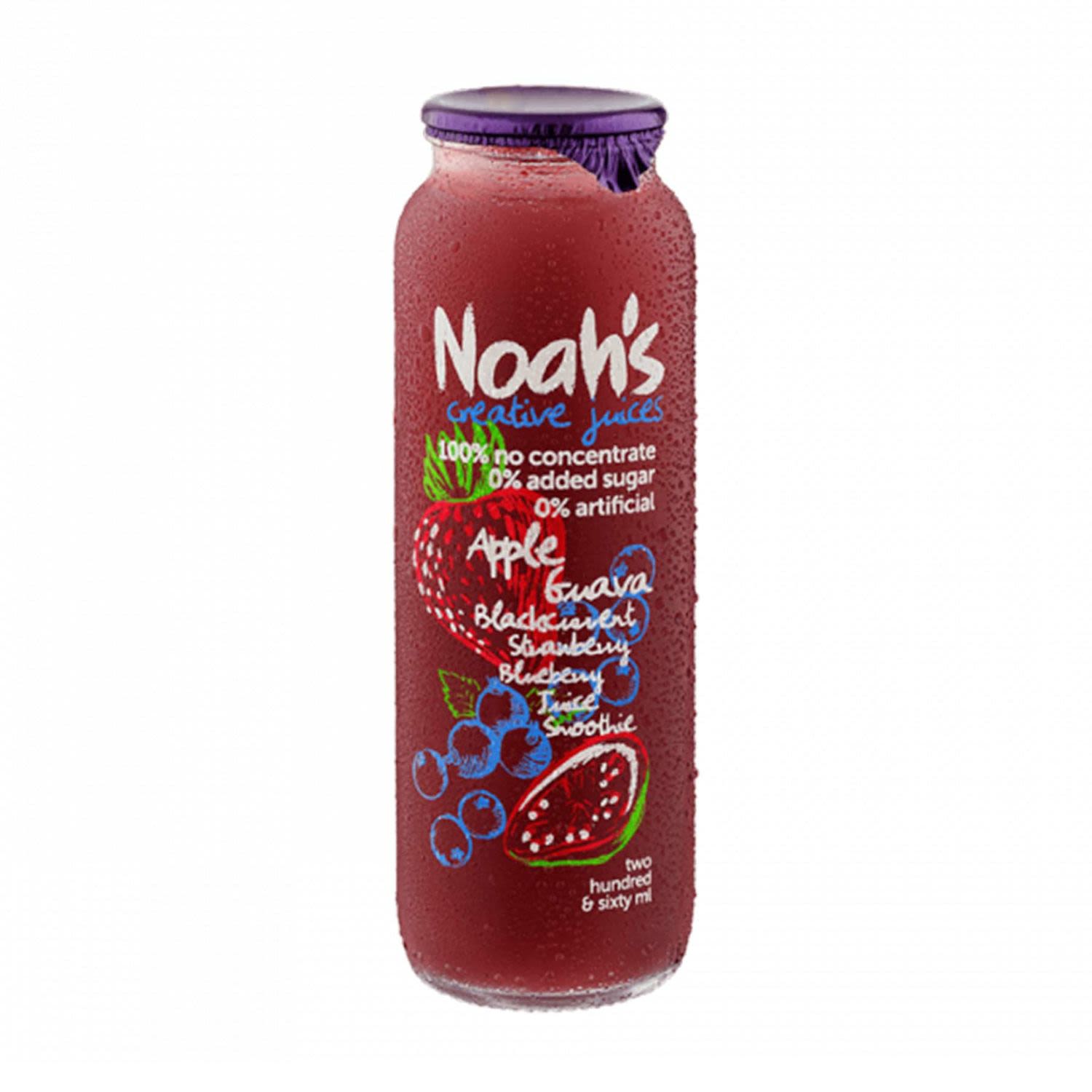 Noah's