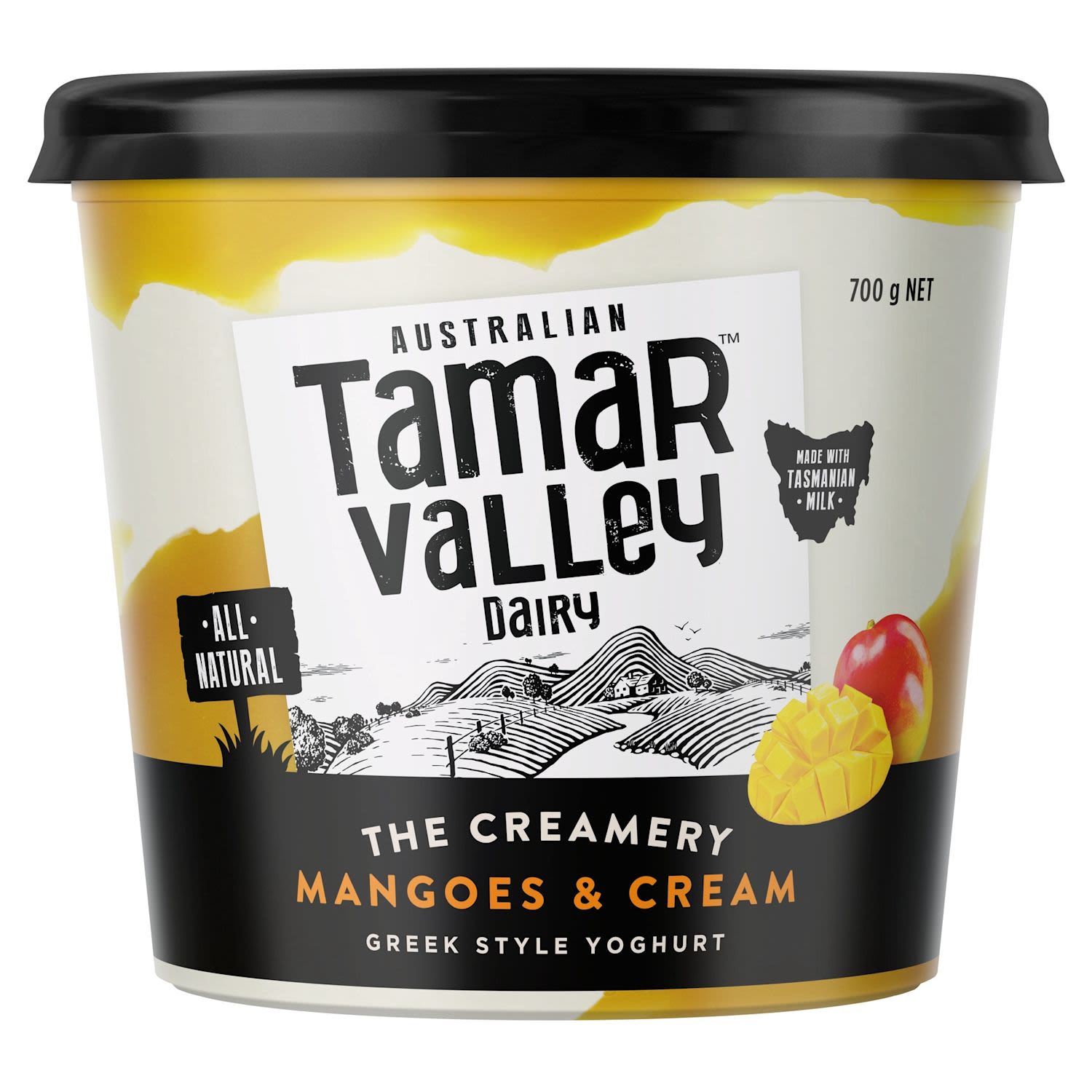 Tamar Valley Dairy 700g
