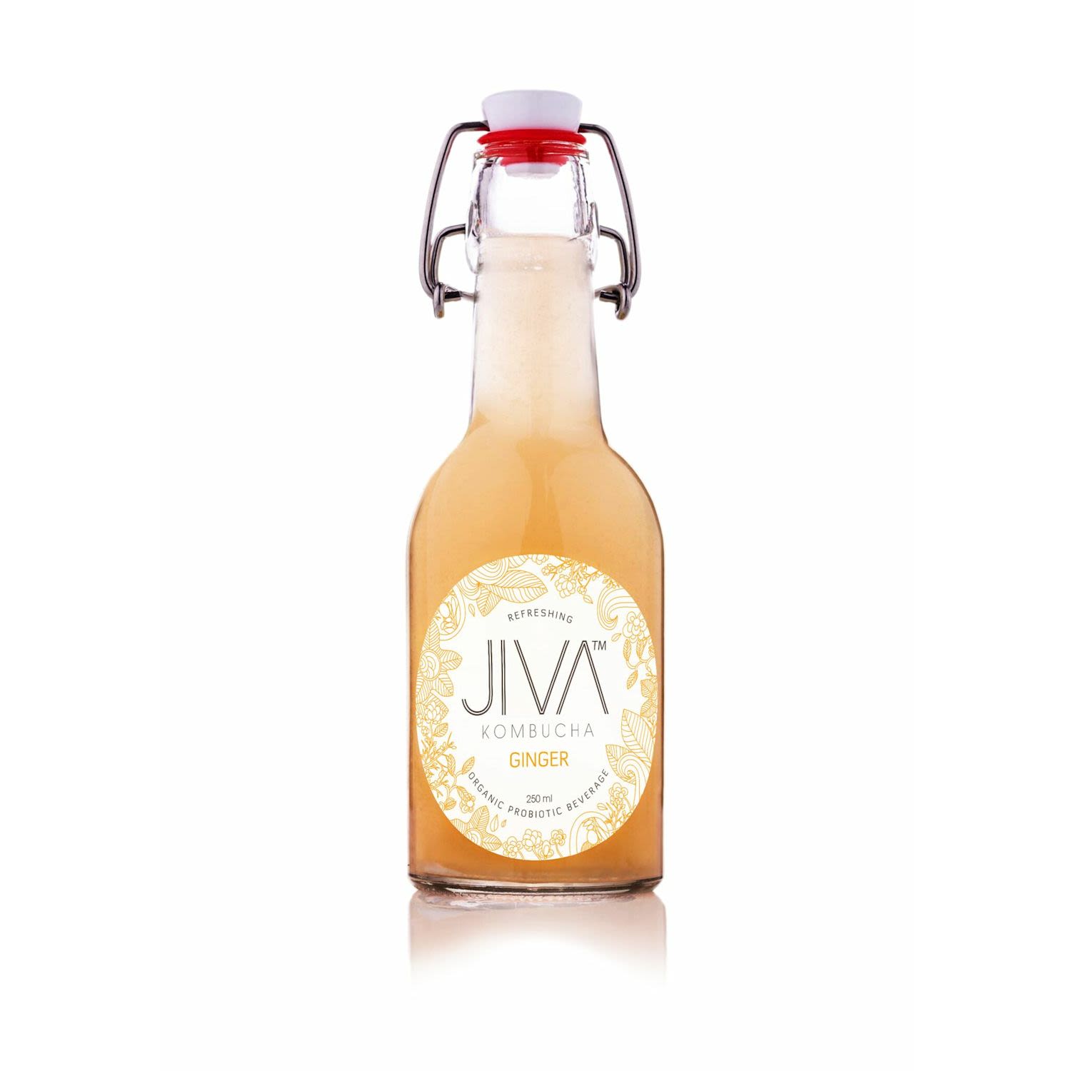 Jiva Kombucha 250ml