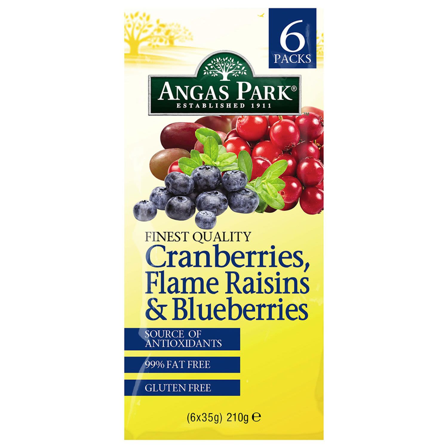 Angas Park Cranberries Flame Raisins & Blueberries, 6 Each