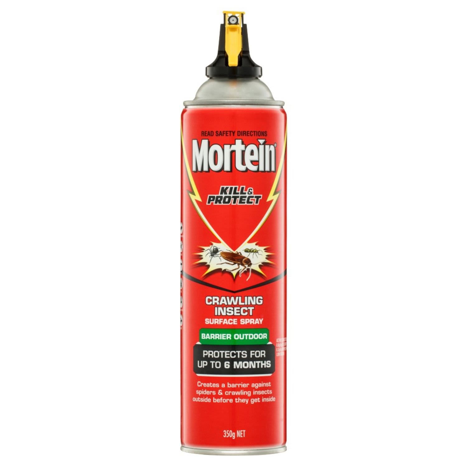 Mortein Outdoor Barrier Surface Spray Crawling Insect Killer, 350 Gram