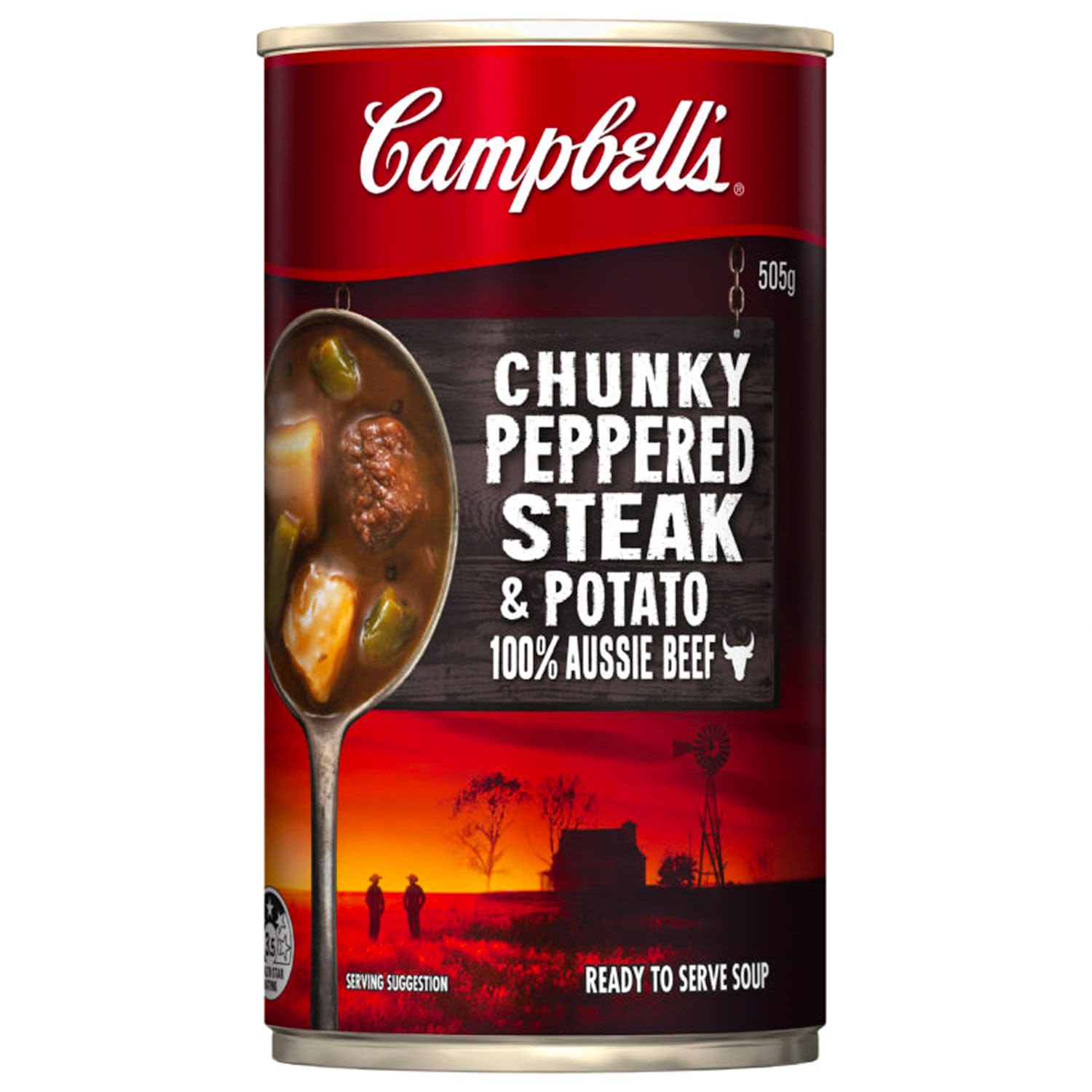 Campbell's 505g
