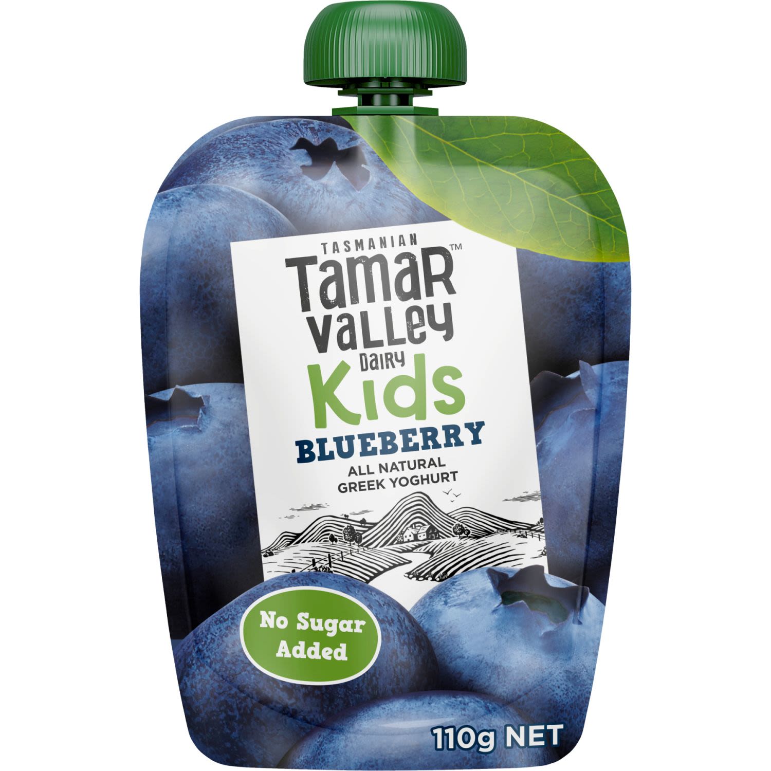 Tamar Valley Dairy Kids Greek Yoghurt Blueberry Pouch, 110 Gram