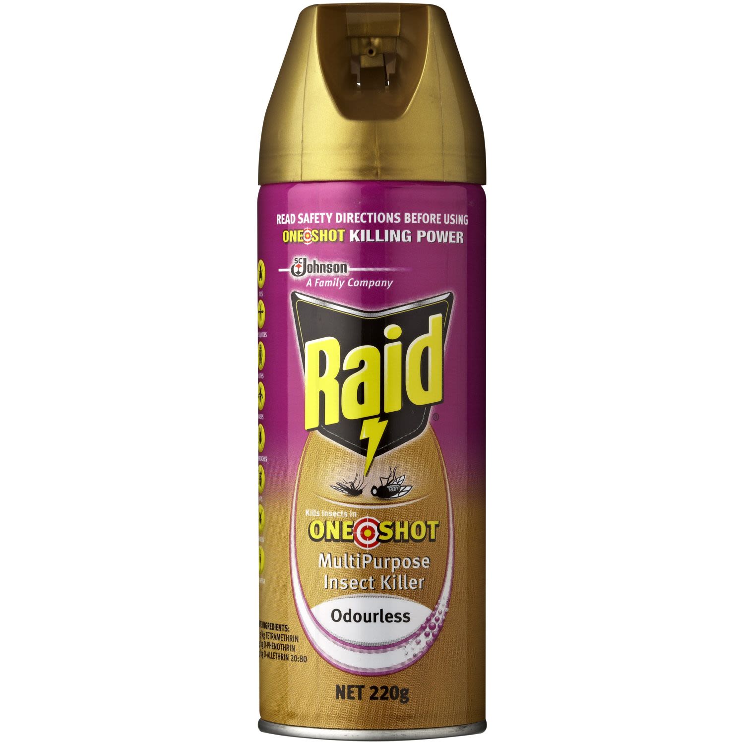 Raid Multi Purpose Insect Killer One Shot Odourless, 220 Gram