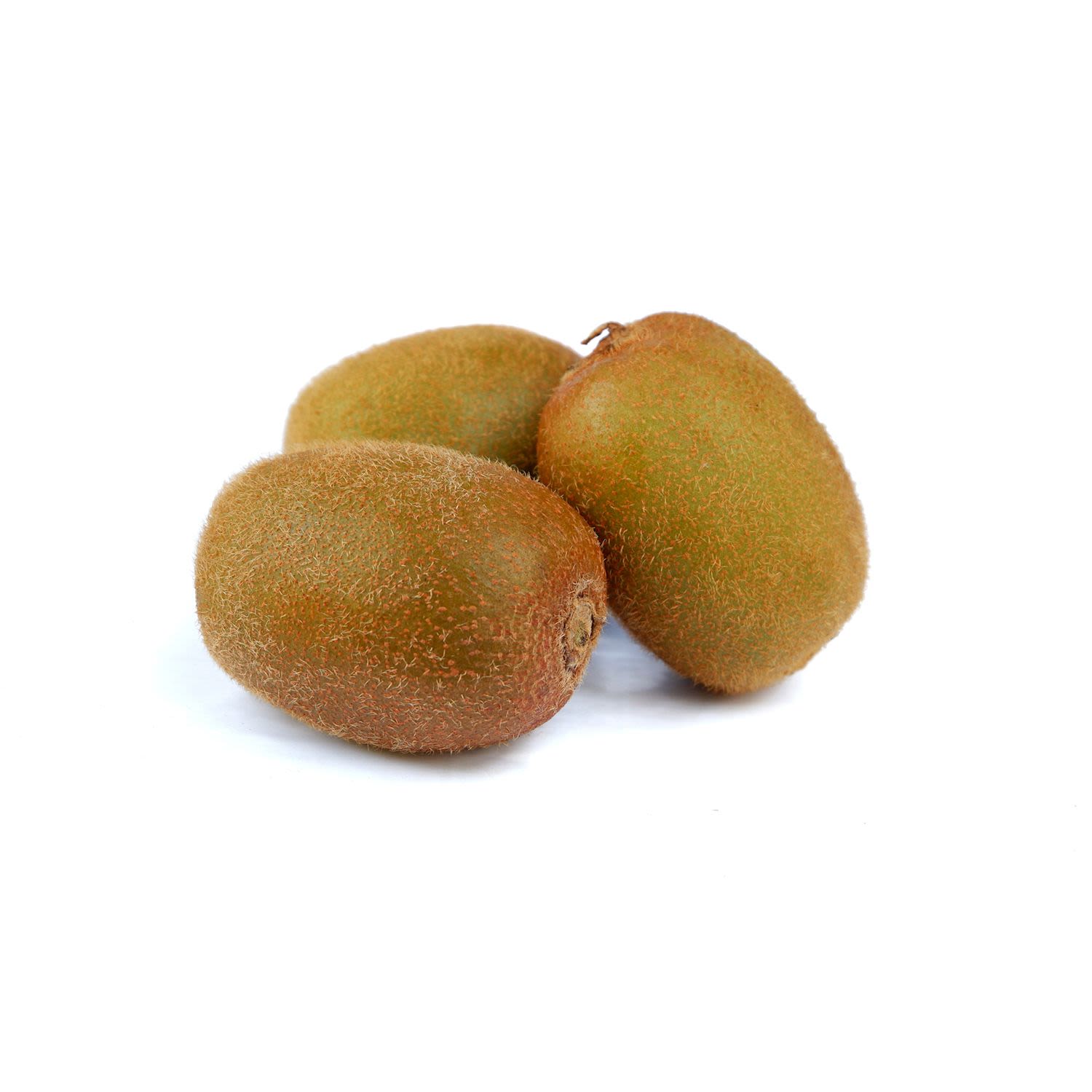 Fresh 2 Go 280g