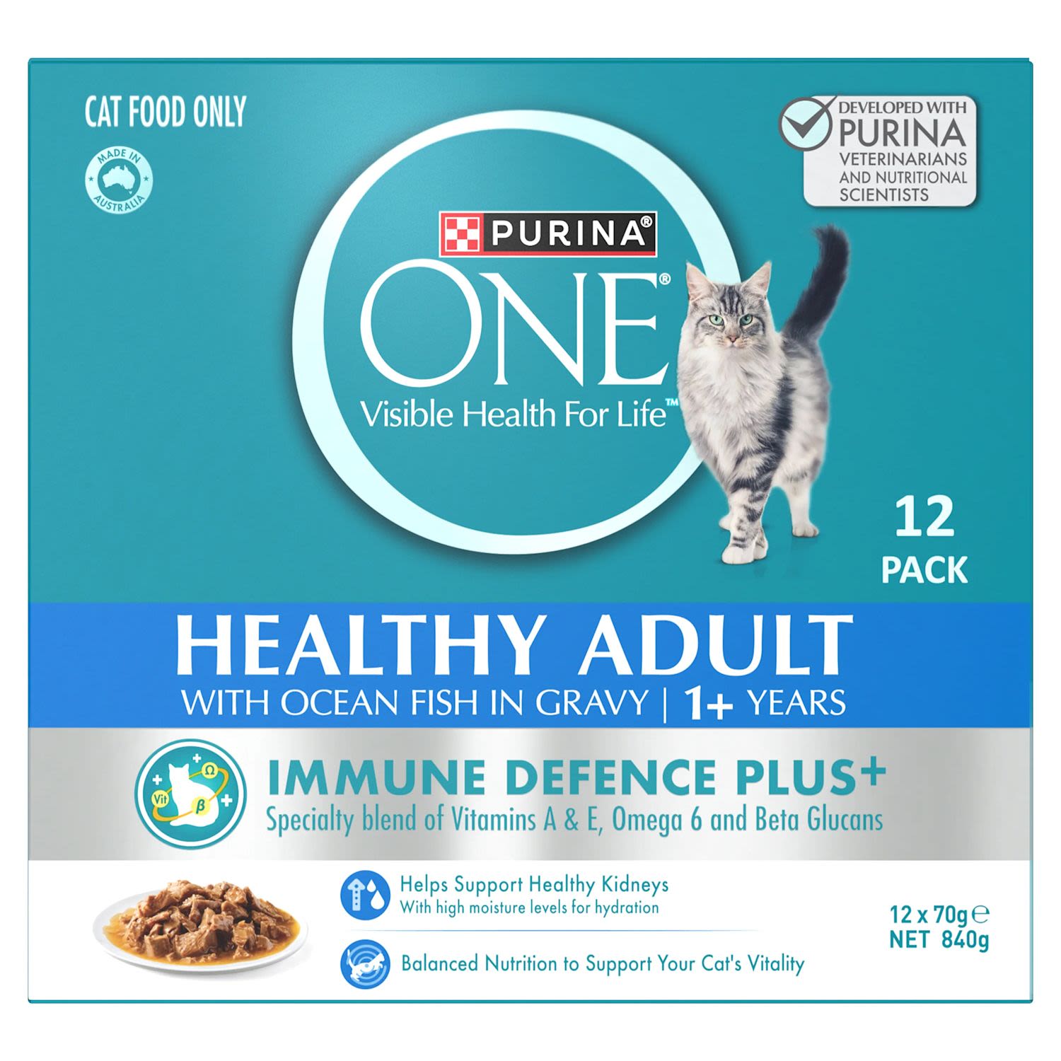 Purina One Adult Pet Food Ocean Fish Multipack