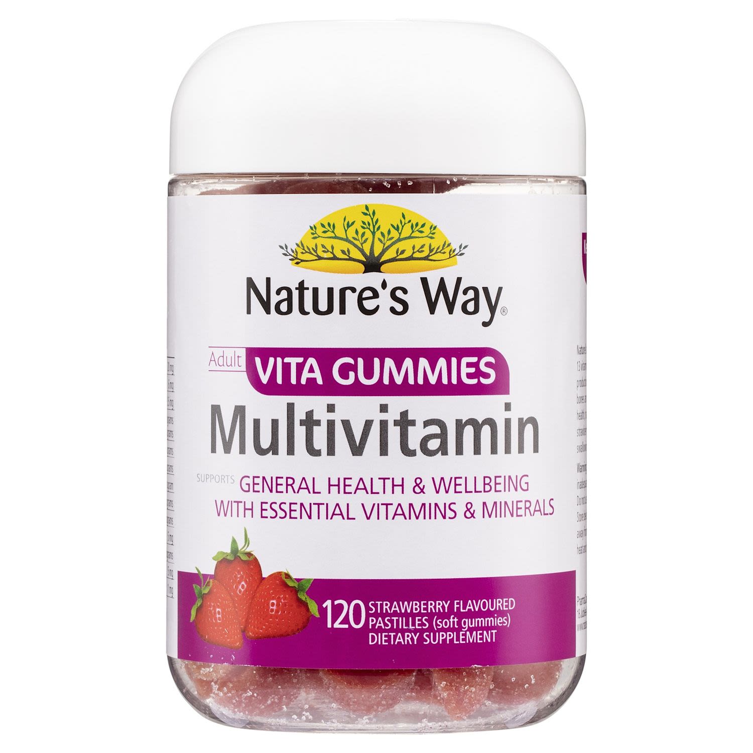 Nature's Way 120 pack