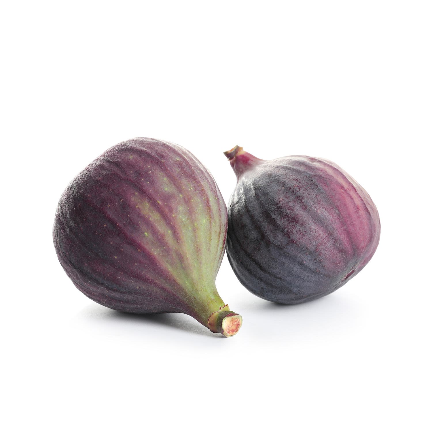 FIGS Standard