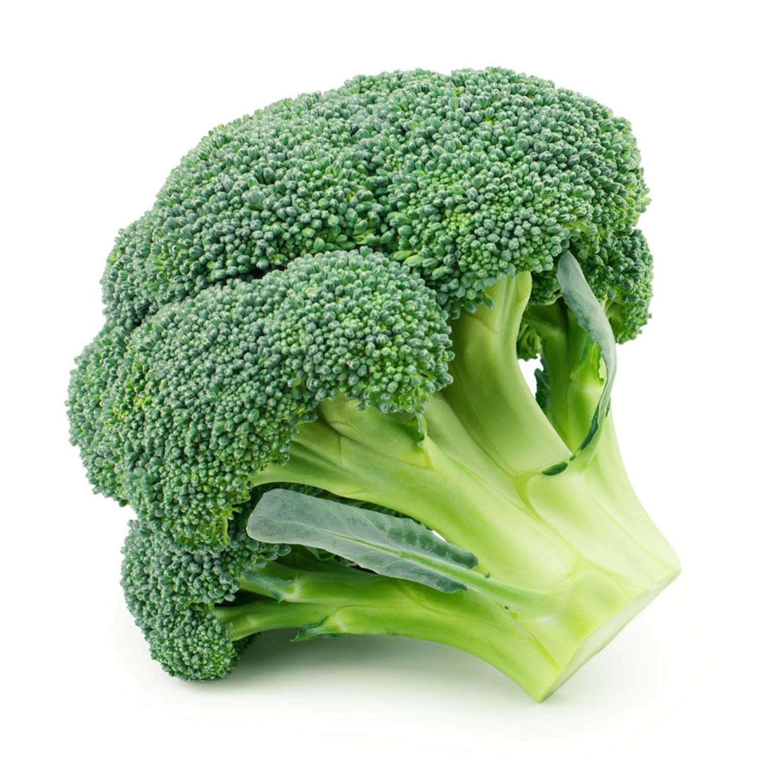 Broccoli Floret, 340 Gram