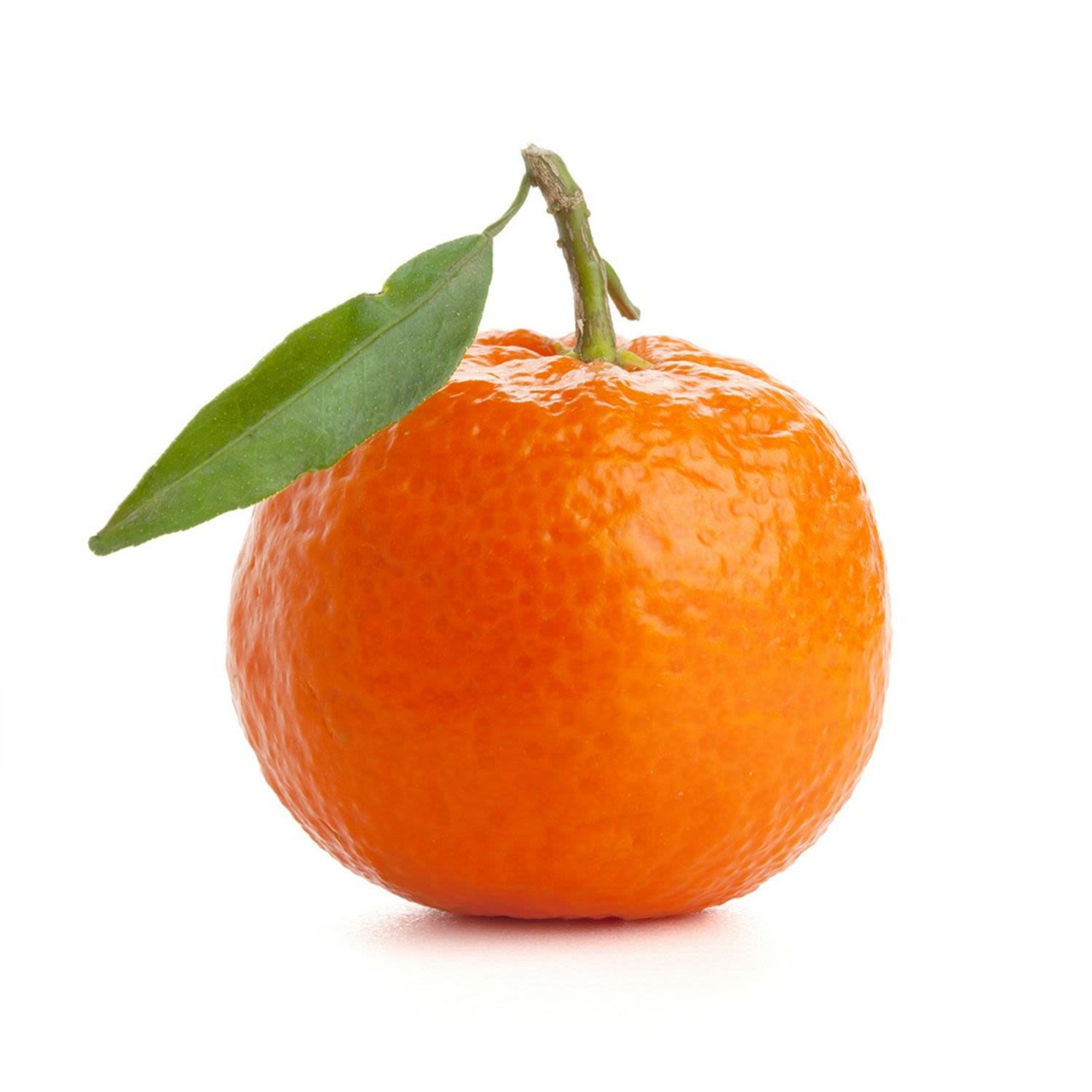 Imperial Mandarins