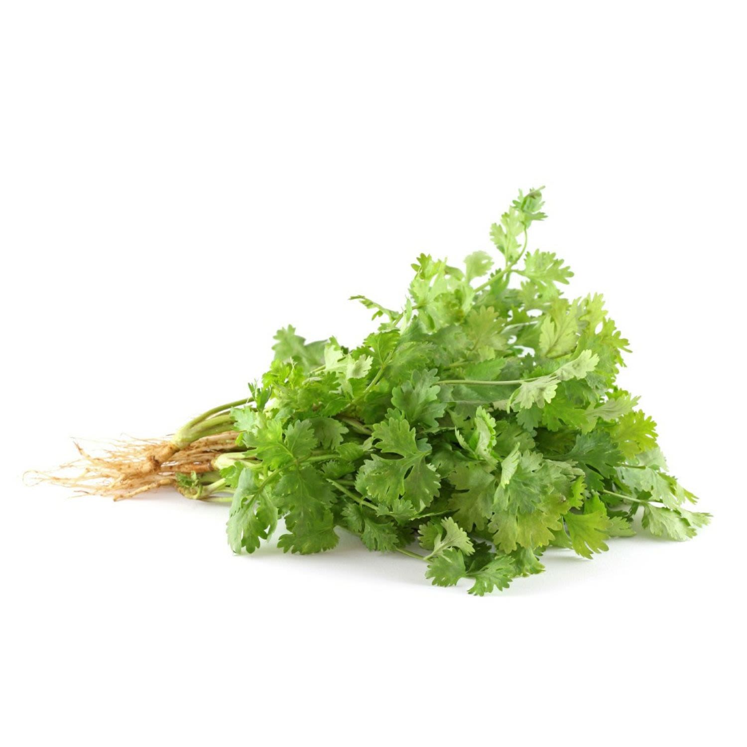  50g