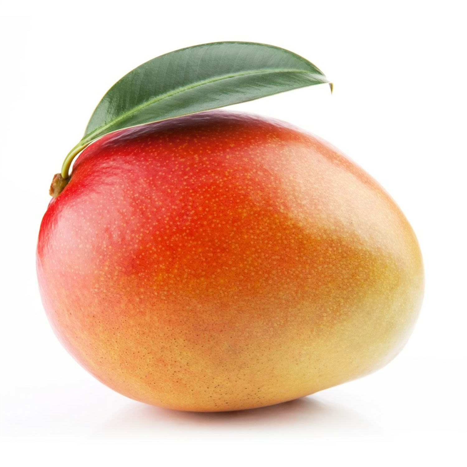 an image