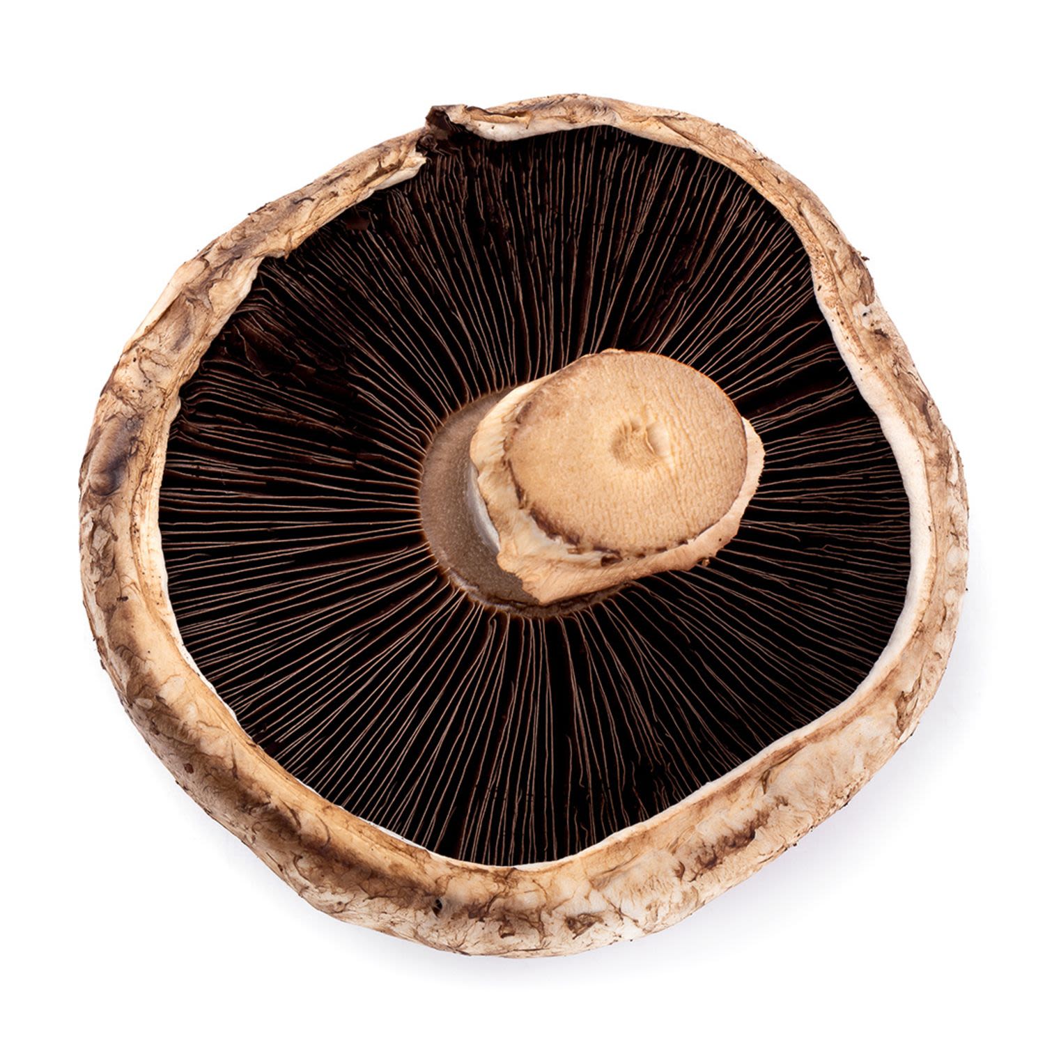 350g
